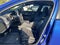 2025 Cadillac CT4 Sport