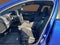 2025 Cadillac CT4 Sport