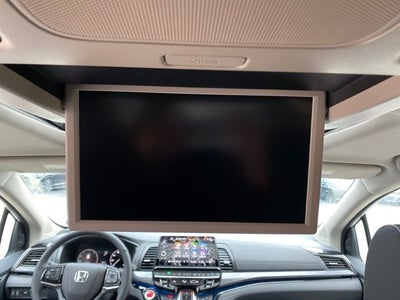 2026 Honda Odyssey Elite