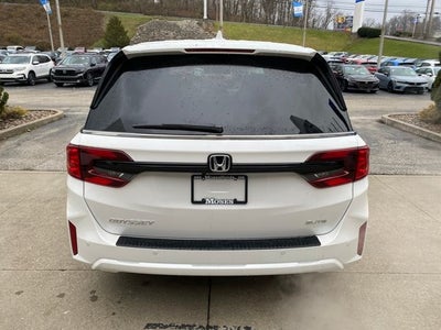 2026 Honda Odyssey Elite